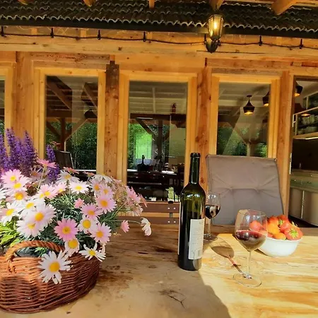 Kura Pod Zlotym Kogutem Chalet