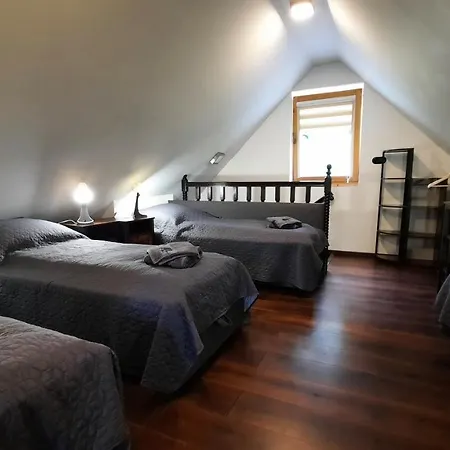 Kura Pod Zlotym Kogutem