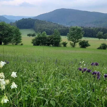 Kura Pod Zlotym Kogutem Kudowa-Zdrój