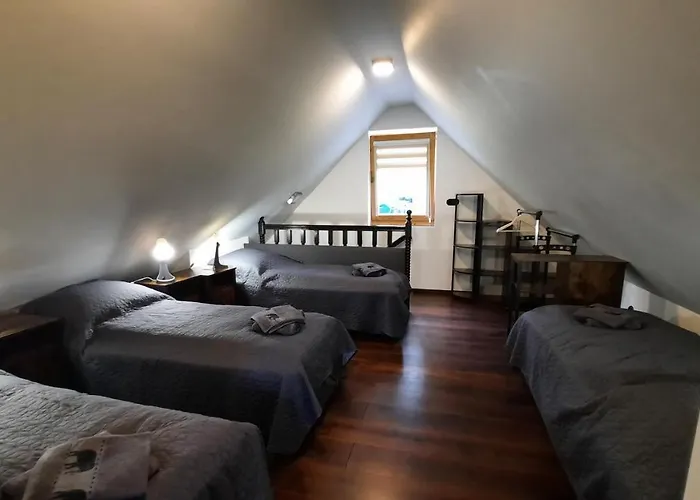 Kura Pod Zlotym Kogutem