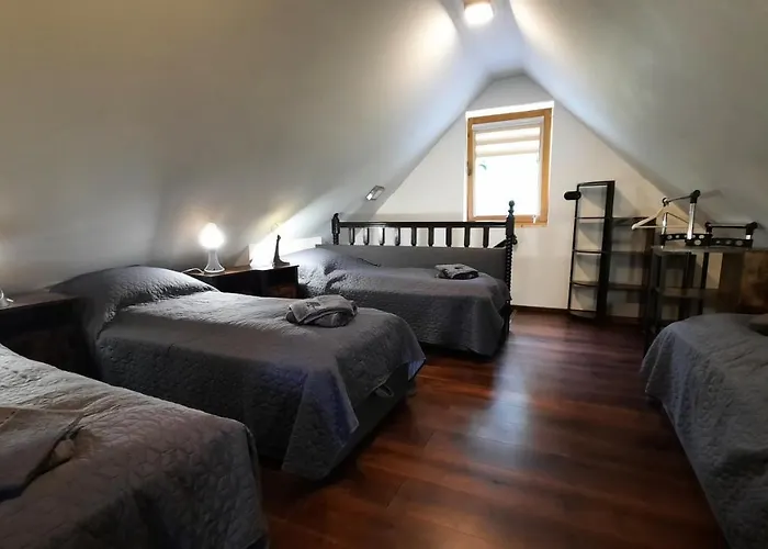 Kura Pod Zlotym Kogutem